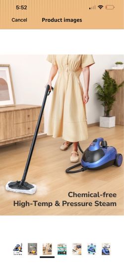 Steam cleaner
