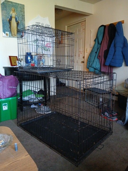 Dog Cages Like New