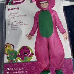 New Barney Costume