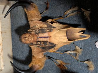 Indian Head Skull