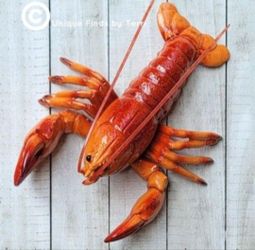 Brand New! 8" Lobster Sculpture Wall Art or Tabletop Figurine Coastal Nautical | Pick up Winter Springs