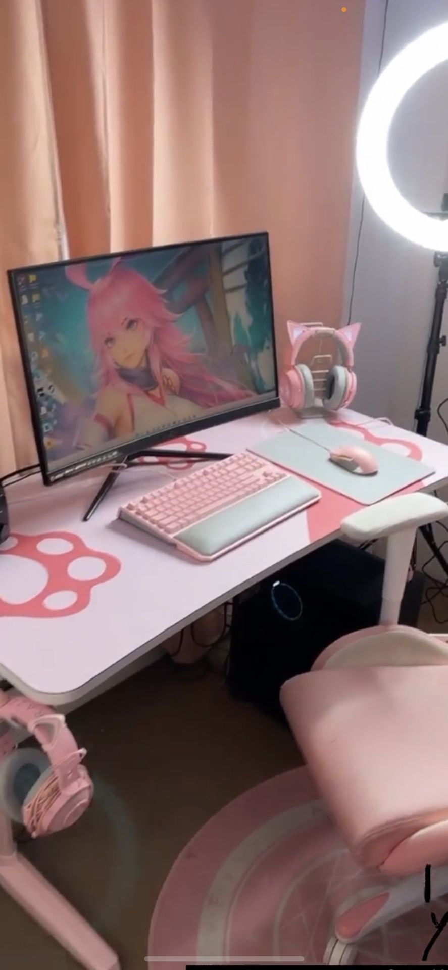 Gamer Computer Set Up Pink