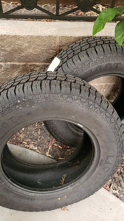 Lionhart Lionclaw Tires