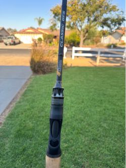 Phenix classic bfs rod 7'4"