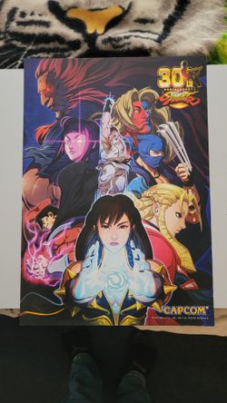 Street Fighter 30th Anniversary Poster