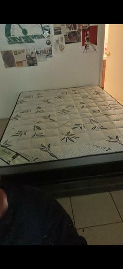 Mattress and box spring
