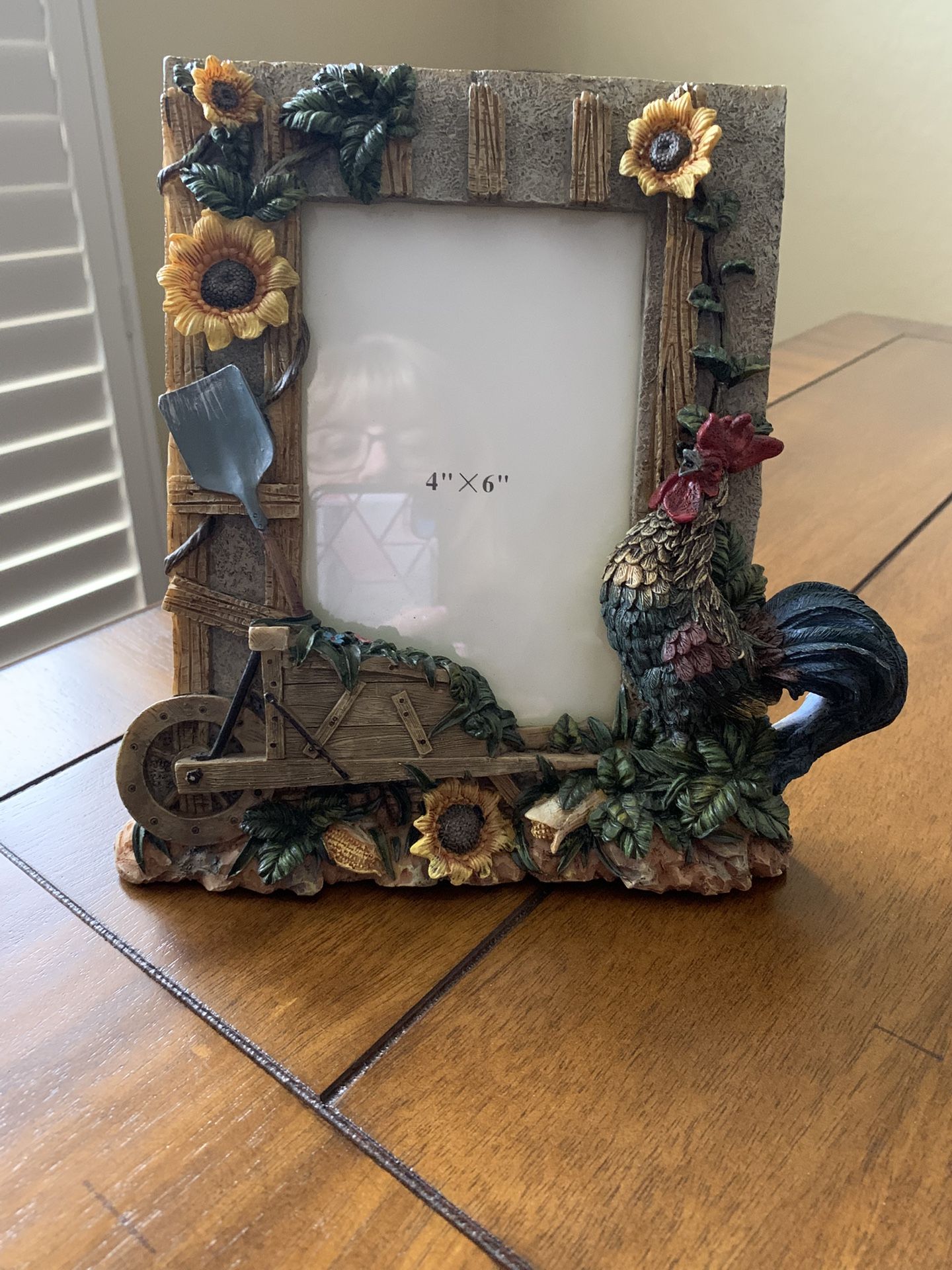 Rooster 4x6 Frame NEW!!!