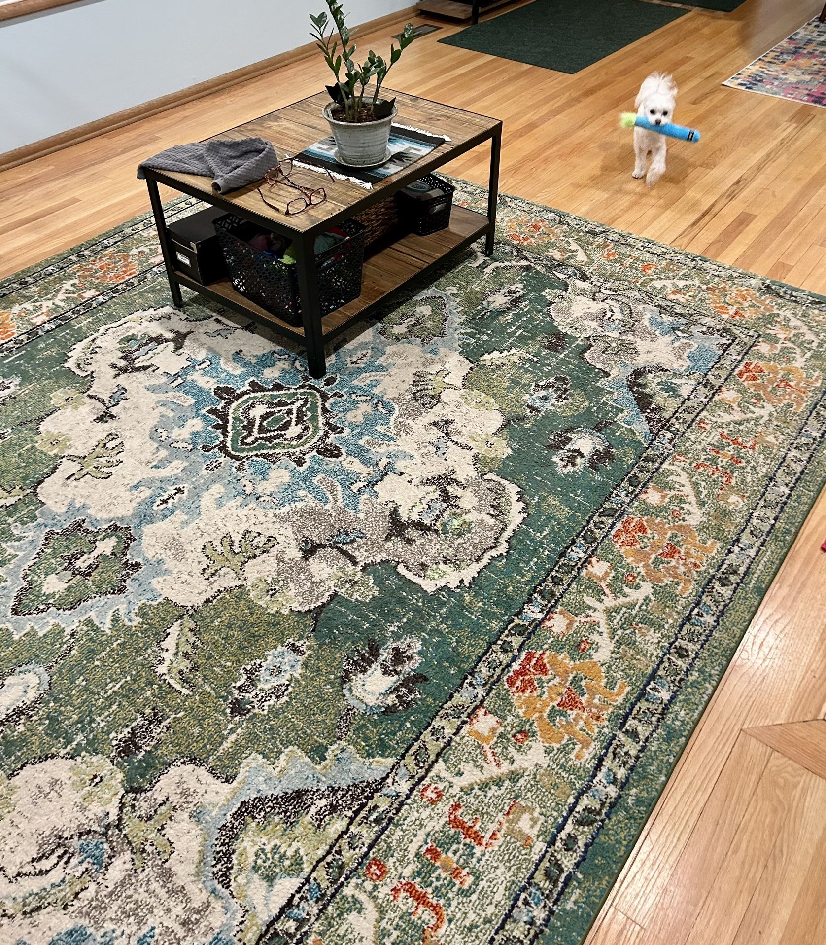 FREE 8’x10’ Area Rug