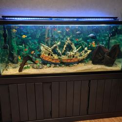 🔥 180 Gallon Aquarium Setup – FULL SYSTEM – $1500 🔥