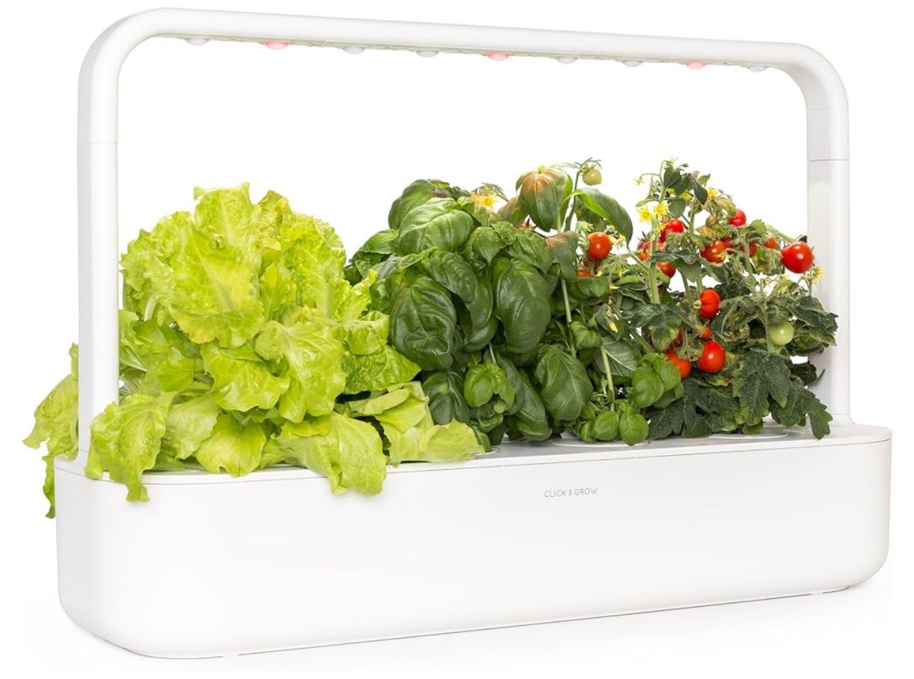 “Click And Grow” Herb Garden Kit