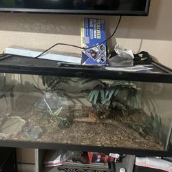 Reptile Tank Habitat Enclosure Terrarium