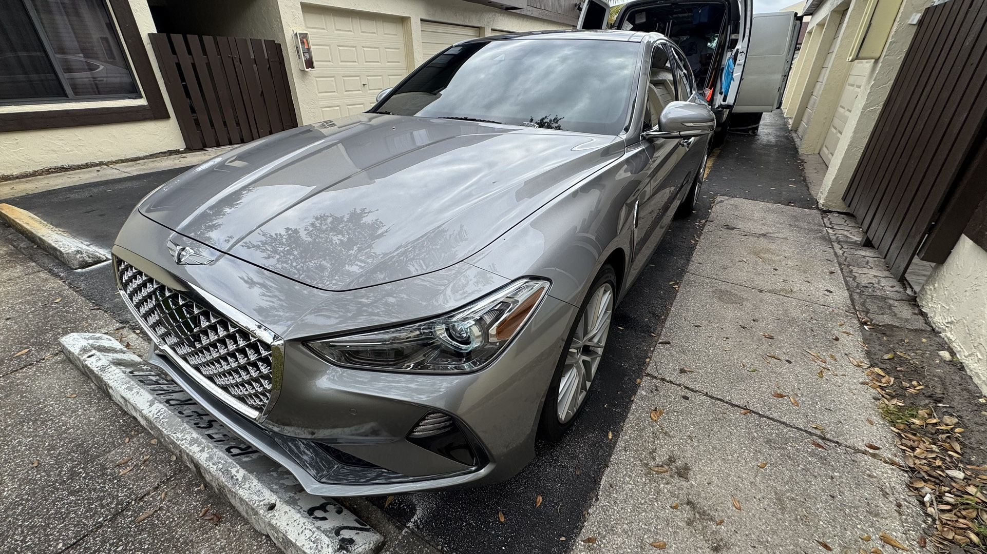 Windshield Protection (Tint)