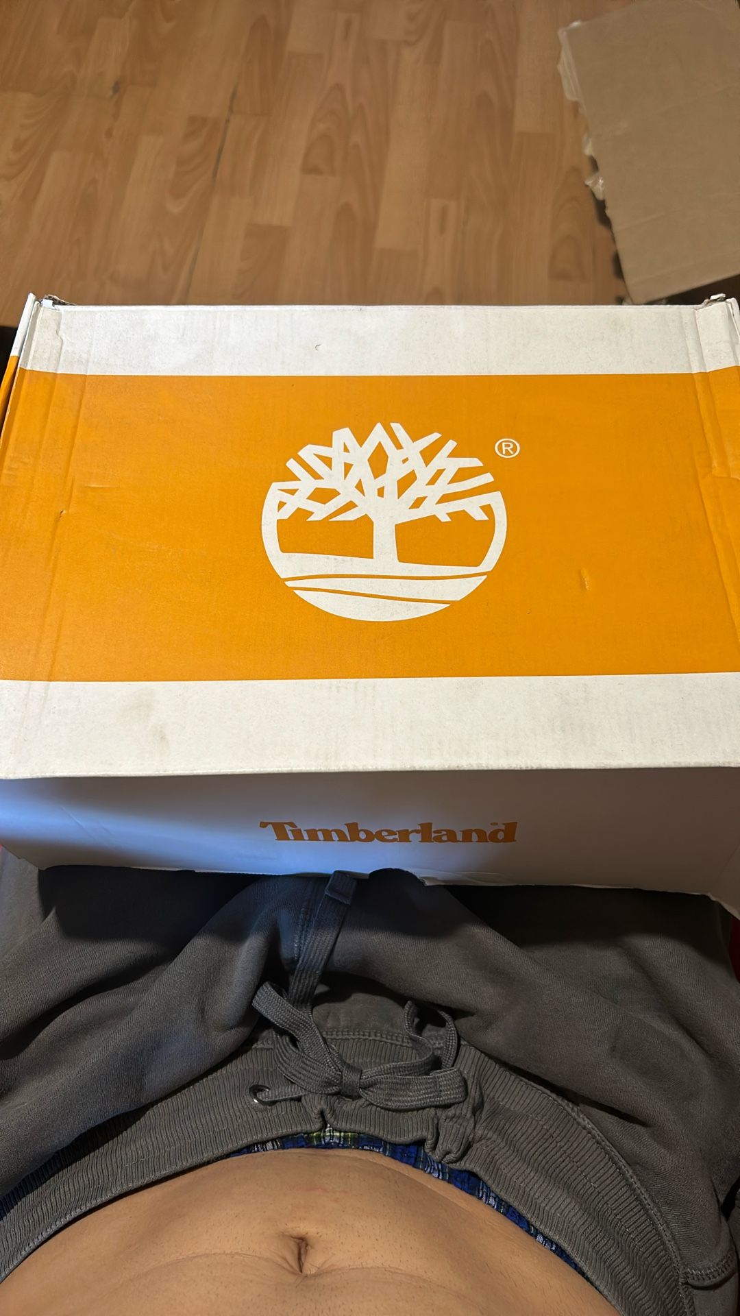 Brand New Timberland Boots S9.5
