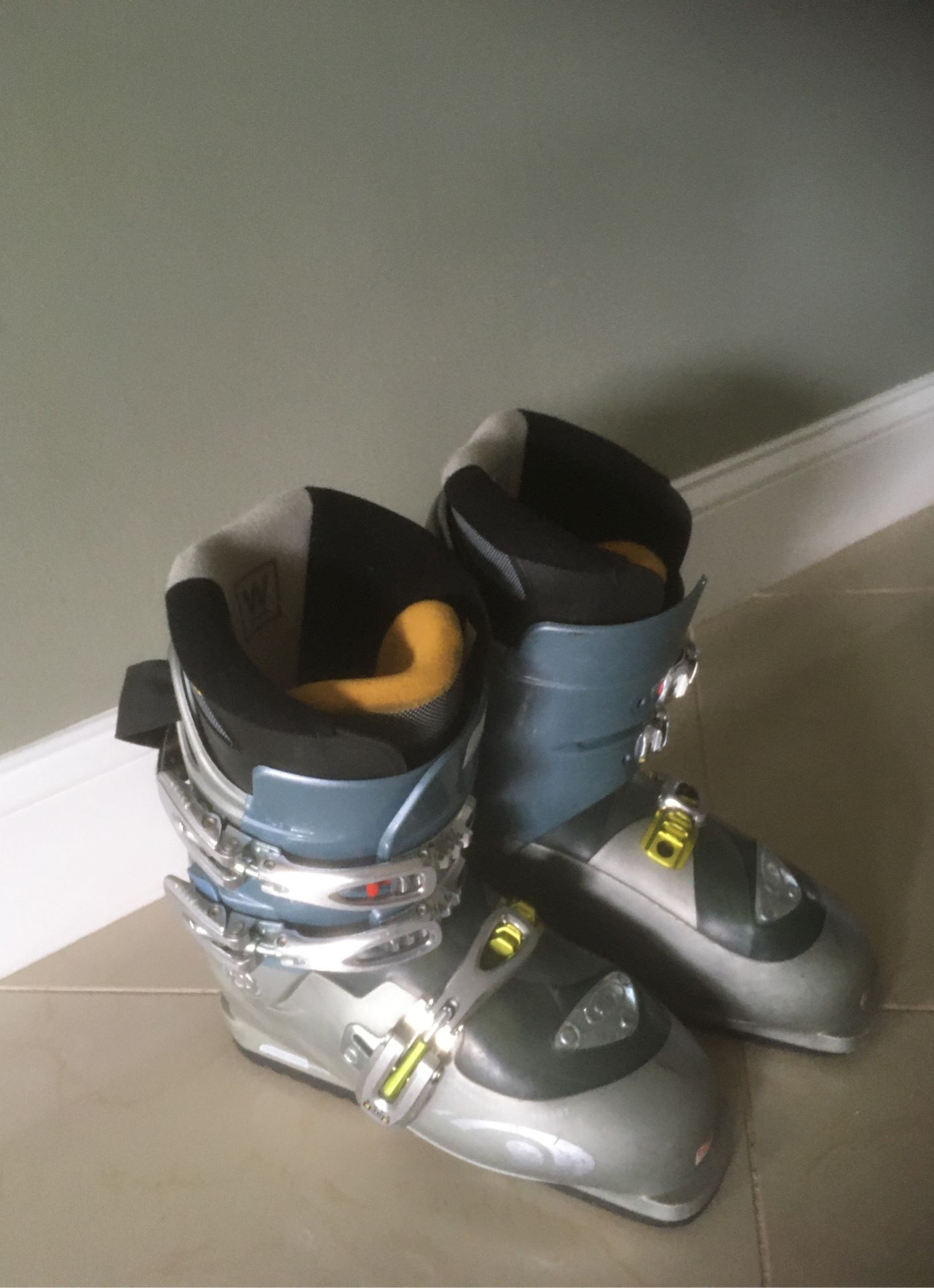 Ski boots