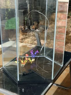 40 gallon tank with filter & hood