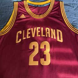 Lebron James Cleveland Cavilers jersey.