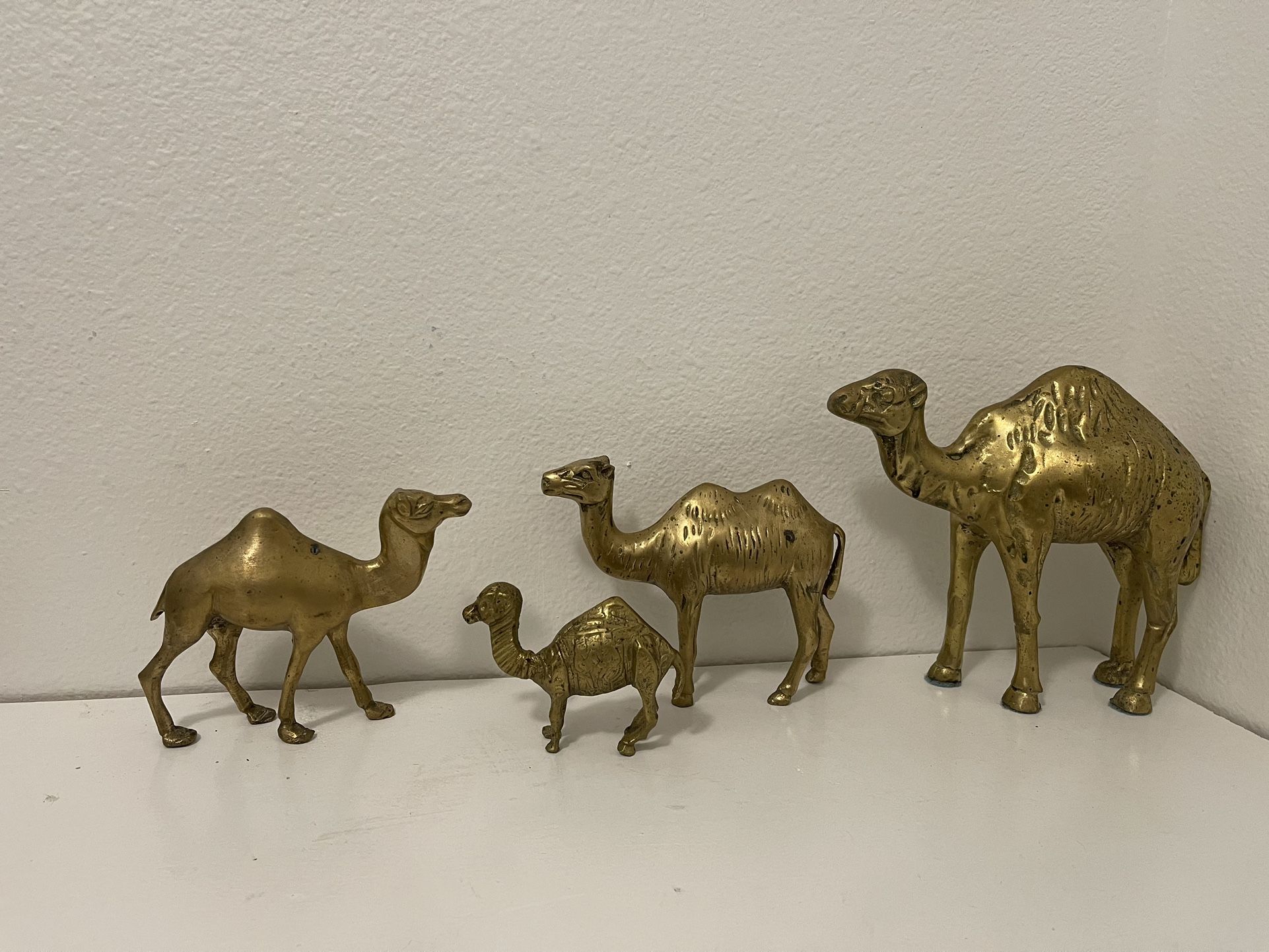 Antique brass camels