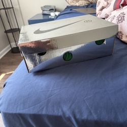 OFF-WHITE Dunk Lows men’s Size 9