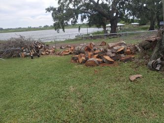 Firewood going really cheap