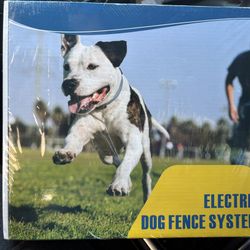 Electric Dog Fence New 