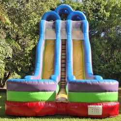 30 Foot Tall And 50 Foot Long Inflatable Dual Slide