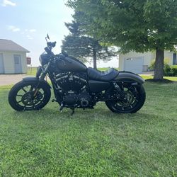 Harley Davidson Sportster Iron 883