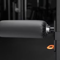 Rogue Fitness - LegRoller - Monster Lite