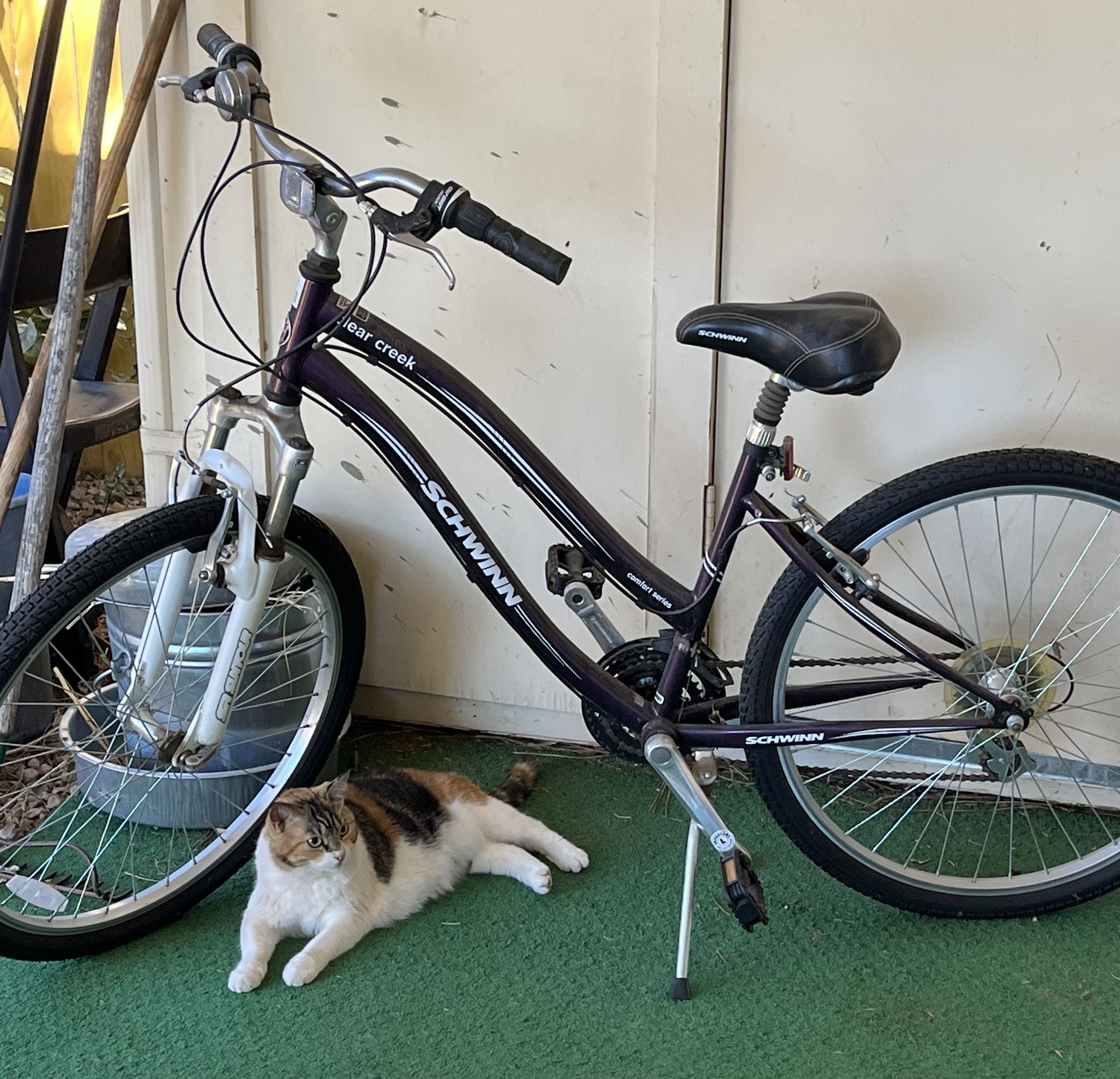 Schwinn Bike Men or woman’s 28 inch wheel 21 speed bike