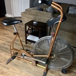 Schwinn Air-Dyne Exercise Bike