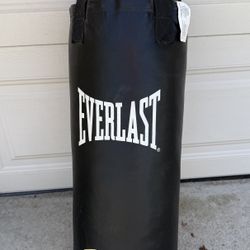 Punching Bag - Everlast 40 Lb. 