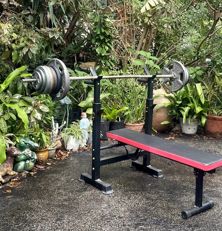 STANDARD BENCH PRESS BENCH: STRAIGHT BAR & 160 LB. OF PLATES : 25s 10s 5s 2.5s ° * ° * ° BENCH FOLDS UP TO SAVE SPACE WHEN NOT BEING US