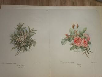 2 Flower Print