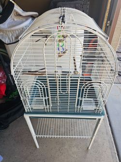 birds cage