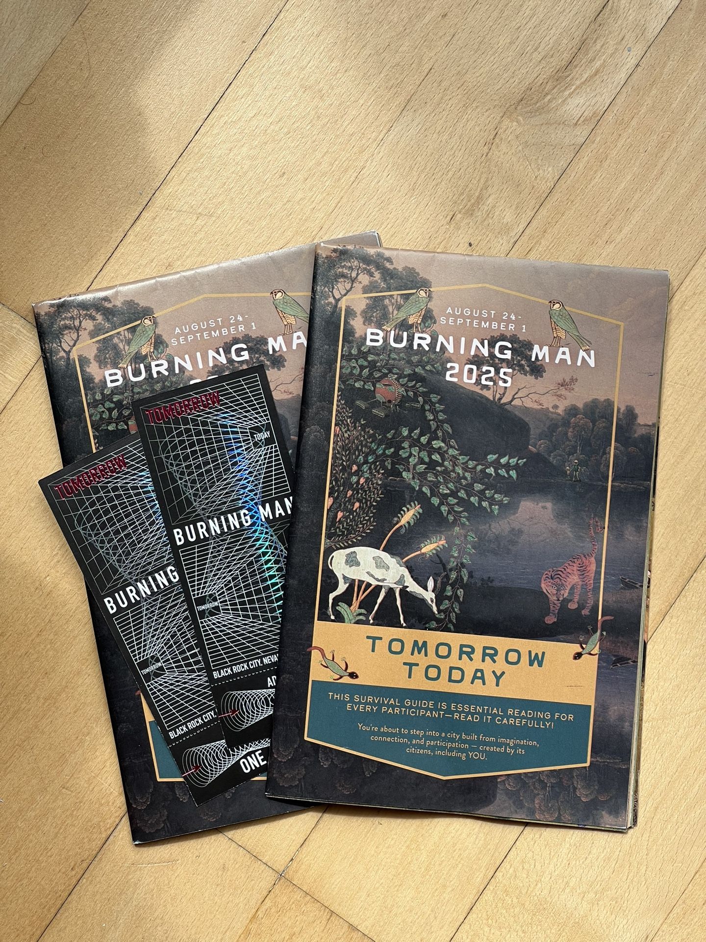 2 X Burning Man Tickets