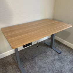 Electric Standup Desk