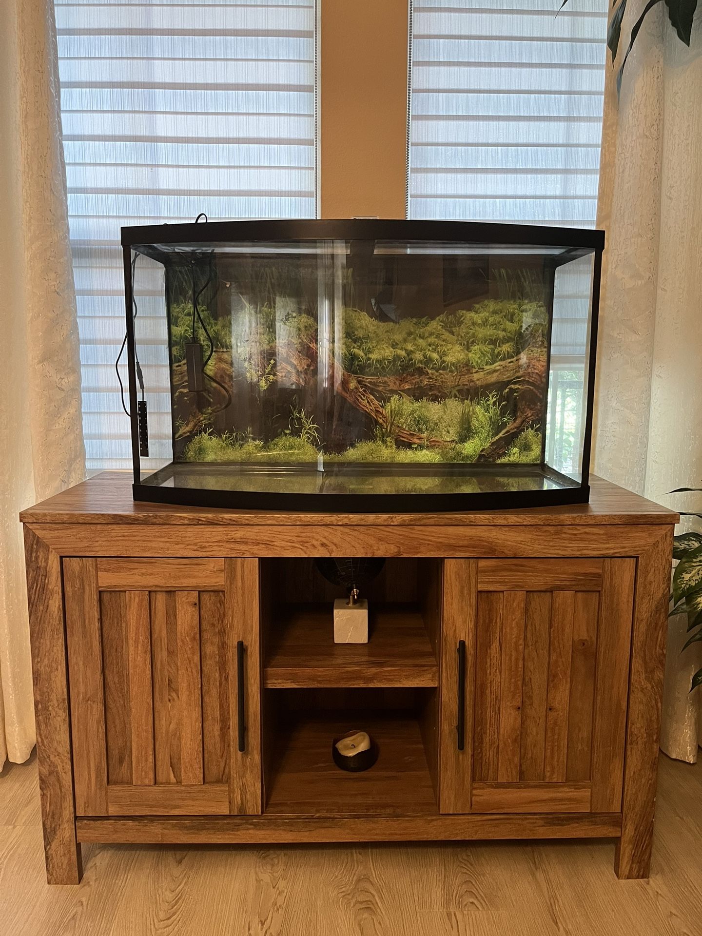 Tall 40 gallon aquarium with accesories