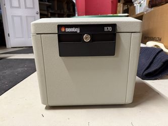 Sentry 1170 Fire Safe