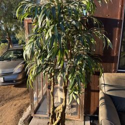 Tall, Bushy Fake Tree in Great Condition!  Stands over 6.5 Feet Tall.