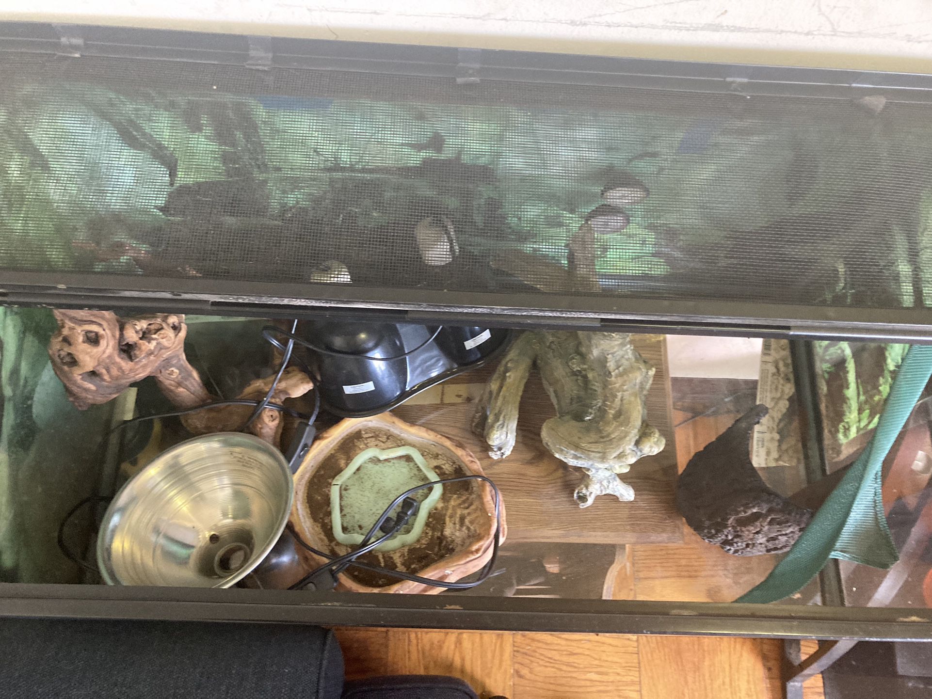 55 Gallon Lizard/snake Tank W/mesh Top N Other Accessories Included 