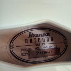 Ibanez 🎸 Guitar