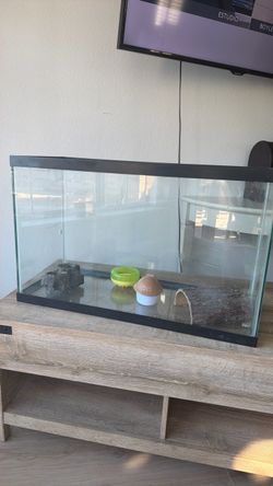 Glass Reptile Tank with Accessories