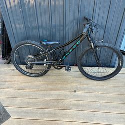 Haro 24 Inch Mountain Bike