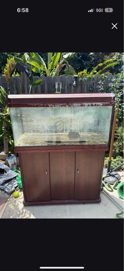 Fish tank