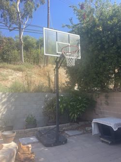 Basketball Hoop