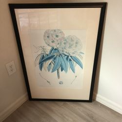 Framed Botanical Art Print