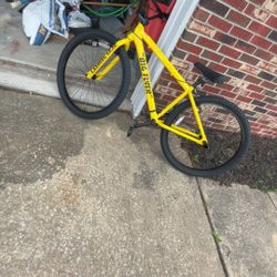 Yellow and black Big flyer. TRADES