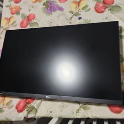 LG MONITOR