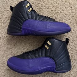 Size 11.5 (Pre owned, no box) - Air Jordan 12 retro Field purple 