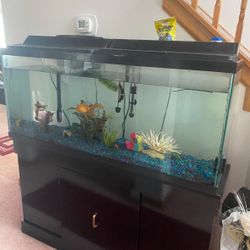55 gallon fish tank with everything