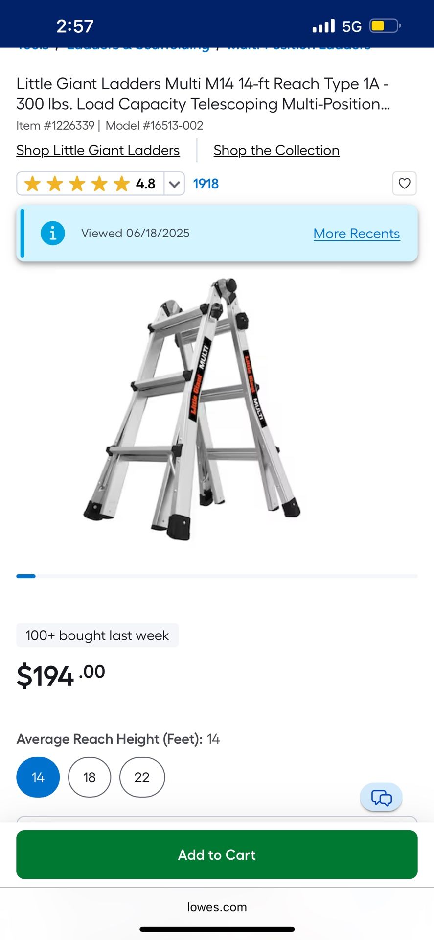 14 Ft Little Giant Ladder